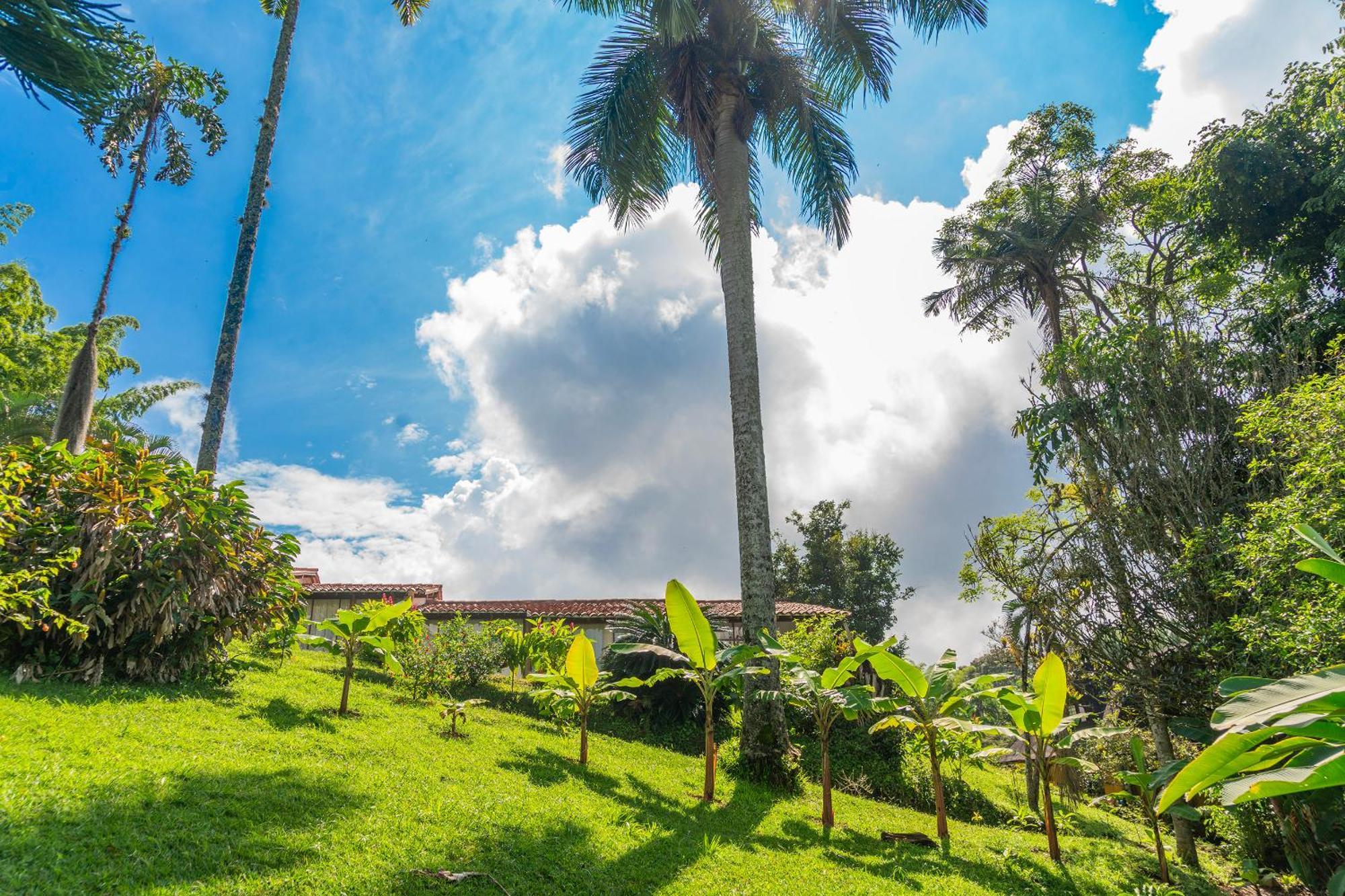 Villa Aldea Sabatinga Manizales Esterno foto