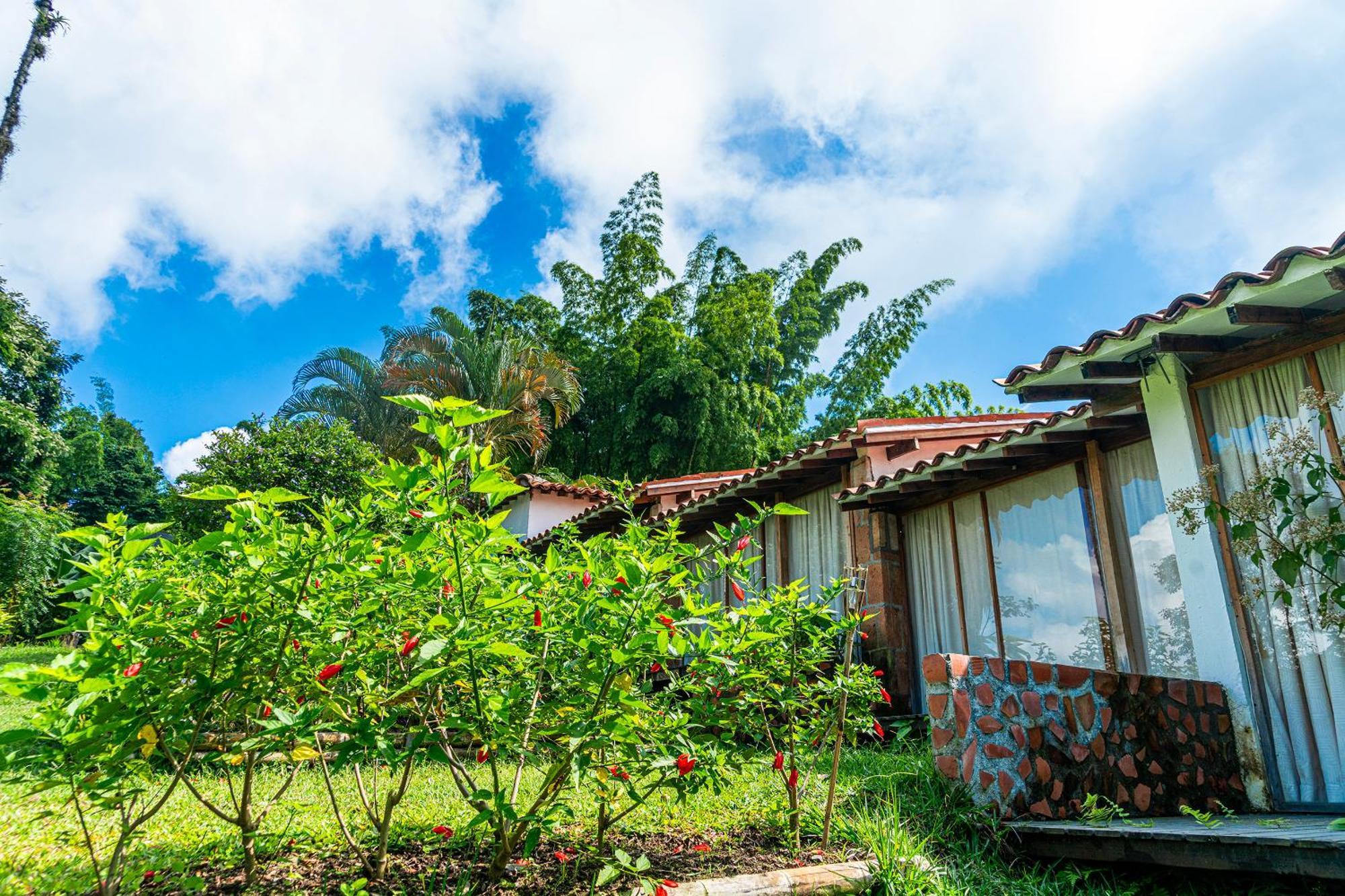 Villa Aldea Sabatinga Manizales Esterno foto